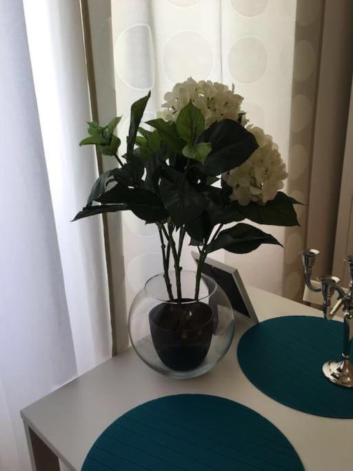 Apartment 1 Center Coimbra Ngoại thất bức ảnh